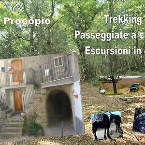 Affitta San Procopio Affittacamere Troina